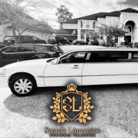 Soana’s Limousine image 5